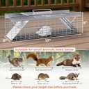 HOMESTEAD 18-Inch Humane Live Animal Trap, Dual-Door Metal Cage for Squirrels, Chipmunks, Rats, Weasels and Similar-Sized Small Animals, Indoor & Outdoor Use, Fully Assembled