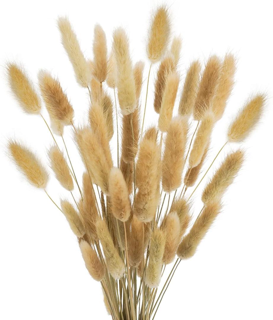 Uieke 17 Natural Bunny Tails Dried Flowers, 50 Pcs Dried Lagurus Ovatus, Dried Brown Pampas Grass Decor for Farmhouse Flower Arrangements Wedding Home Boho Party Decorations