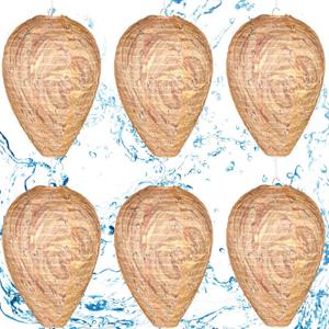 DECYOOL 6 Pack Wasp Nest Decoy Hanging Wasp for Wasps Hornets Yellow Jackets Outdoor Waterproof Material (Dark Brown)