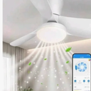 Ceiling Fans with Lights: 30 Inch Low Profile Ceiling Fans with Lights and Remote & APP Control Quiet Reversible 3 Colors Dimmable 6 Speeds Flush Mount Small Black Ceiling Fan for Bedroom Bathroom