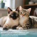 Cat Calming Diffuser Refill 6 Pack Cat Calming Pheromone Diffuser Refill Cat Plug in Pheromones Cat Stress Diffuser Cat Pheromones Calming for Cats Anxiety and Stress 48ml Vial-180 Days Fits All Cats