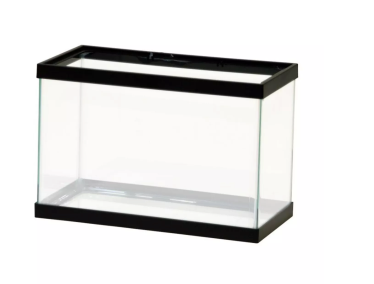 Aquarium 15 x 8,6 in One lamp And Two trees