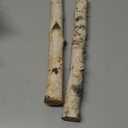 Sancodee 12-Pack White Birch Logs for Fireplace - Natural Decorative Birch Branches for Mantel, Fake Fireplace, Indoor Decor, DIY Crafts, and Planter Decoration (0.8"-1.6" Dia. x 16" Long)