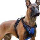 Rabbitgoo Dog Harness for Large, No Pull Pet Harness with 3 Buckles, Adjustable Soft Padded Vest with Control Handle, Walking Reflective Pet Vest for Extra Large Dogs, Blue, XL