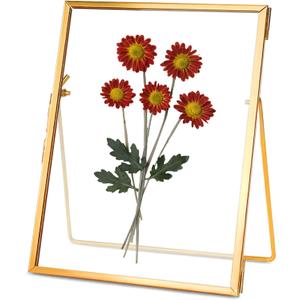 Glass Pressed Flower Frame Handmade, Floating Picture Frames for Pressed Flowers, Tabletop Artwork Photo Frames, Brass Desk Picture Frame for Home Office Plant Specimen, Gold, 5x7 Inches (5L" x 7W")