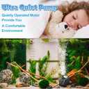 2 Pack 10W 160GPH Submersible Fountain Pump with 12 Color LED Lights, Small Fountain Pump with 4 Spray Nozzles, Ultra Quiet Design for Outdoor Pond, Aquarium, Fish Tank