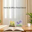 2 x ZvveIIa Flower Building Blocks for Adults, Eternal Rose Bonsai with Display Case, Home & Office Decor, Adult Relaxing DIY, Creative Architecture Model Kit