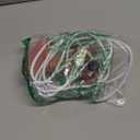 8Bitdo Ultimate Mini Wired Controller with RGB Lighting Fire Ring, Hall Effect Joysticks and Triggers, for Xbox Series X|S, Xbox One, Windows 10/11 - Officially Licensed (Translucent Pink)