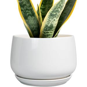 G EPGardening Ceramic Pots for Plants - 7 Inch Planter for Indoor Plants, Round Flower Pots with Drainage and Saucer, Modern Outdoor Planter, Garden Decor, Home Gifts, White