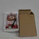 Santa's Shoes Skis & Poles Resin Christmas Tree Ornaments for Ski Lovers