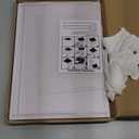 Clear Acrylic Display Case, SelfAssembly Acrylic Box with White Thick Base and Upward Swing Door, Dustproof Protection Showcase Organizer for Collectibles Doll Toys Models (30X20X15cm/12X8X6inch)