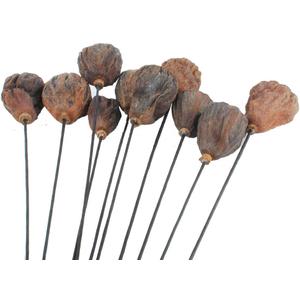 NWFashion 10PCS Artificial Dried Brwon Lotus Pods with Stems (3-5CM)