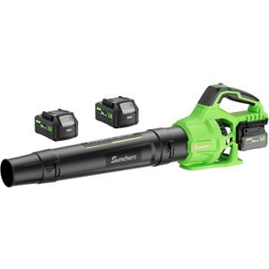 Leaf Blower Cordless with 2 x 4.0Ah Battery and Charger, 580CFM 160MPH Electric Blower with 2 Speeds, 20V Handheld Leaf Cleaner for Lawn Care, Blowing Leaves, Dust, Snow, Gravel for Patio, Yard, Green