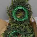 SEVENLOVE 14 Inch 4 Pack Candle Wreath for Centerpiece, Mini Cypress Wreath with Pinecone for Christmas Farmhouse Table Decoration Xmas Table Centerpiece (4, 14In)