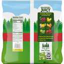 Black Forest Gummy Bears Candy, Made With Real Fruit Juice, Resealable 5-Pound Bulk Bag (EXP 08/21/26)
