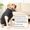 HEYWEAN Full Body Dog Diaper with a Puppy Nappies Physiological Dog Surgery Recovery Suit for Male Female Dogs (Gray, XL)