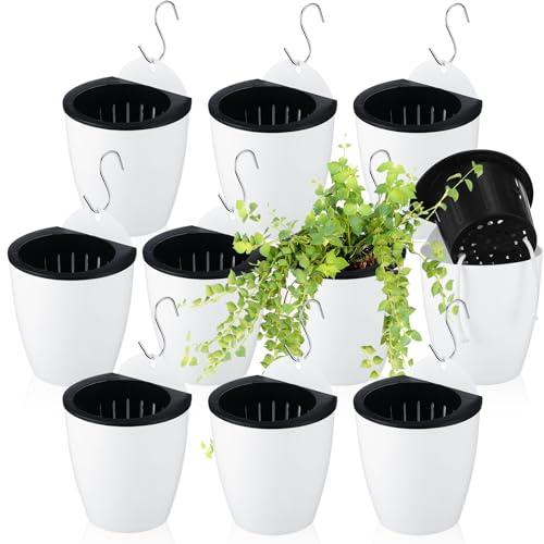 Yungyan 10 Sets 5" Self Watering Hanging Planter White Lazy Flower Pots Plastic Wall Propagation Window Wall Mount Planter with Hooks and Absorbent Cotton Ropes for Indoor Succulent Plants