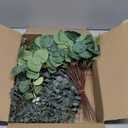 Giegxin 90 Pcs 3 Kinds Mixed Artificial Eucalyptus Leaves Stems Bulk Silver Dollar Leaves Picks Dried Eucalyptus Bundle Faux Spray for Wedding Vase Bouquet Floral Arrangement (Green)