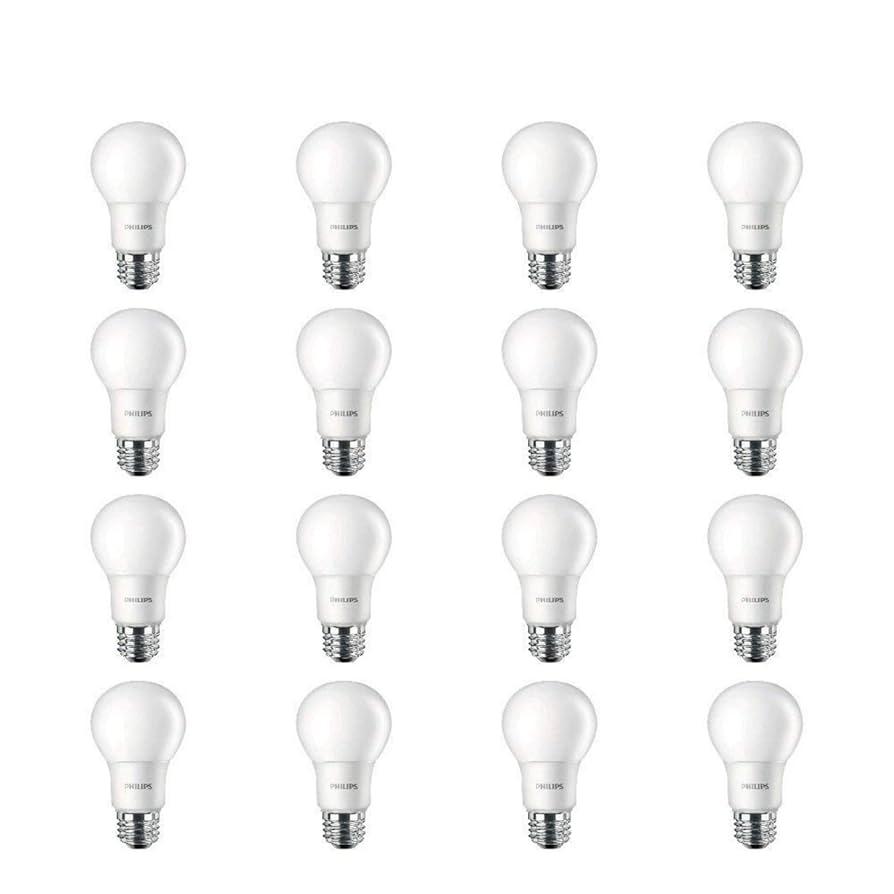 16 Light Bulbs Variety