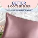 Blissy Silk Pillowcase - 100% Pure Mulberry Silk - 22 Momme 6A High-Grade Fibers - Silk Pillow Cover for Hair & Skin - Regular, Queen & King (Plum, Standard)