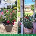 Mklsit 4 Pack 23'' Plant Trellis for Potted Climbing Plants Indoor, Outdoor Metal Garden Trellis for Climbing Plants Houseplants Flowers Vine Ivy, Fan Shape, Black