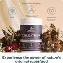 Ancient Nutrition Grass Fed Bovine Colostrum Superfood Powder, Unflavored Grass Fed Bovine Colostrum, Supports Healthy Gut Microbiome and Immune System, Clinically Studied Lactoferrin & Probiotics, 78g