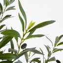 Warmplants Artificial Olive Tree, 6ft Tall Fake Olive Leaves Plant with Basket, Indoor Outdoor Faux Olive Topiary Silk Tree for Home Livingroom Office Dcor