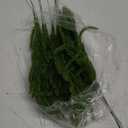 30 Pcs Christmas Real Touch Norfolk Stems, 15Inch Artificial Pine Branches Faux Evergreen Pine Sprigs Fake Foliage Greenery Picks for Christmas Wreath Making DIY Crafts Home Decoration (30, Green)