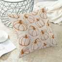 Fall Decor Pillow Covers 18x18 Pack of 2 Burnt Orange Pumpkin Throw Pillow Cover Outdoor Decoration,Autumn Thanksgiving Pumpkin Pillowcase Farmhouse Linen Decorative Cushion Case for Couch sofa