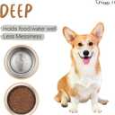 PEGGY11 Deep Stainless Steel Anti-Slip Dog Bowls - 2-Pack, 3 Cups