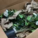 Artificial Camellia Tree 2 Pack 42" with 32 Blooming Flowers in Pot White