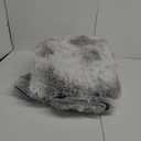 Arbosofe Area Rugs Shaggy Rugs Fluffy Carpets, 4x6 Feet Dyed Light Grey, Modern Plush Carpets for Living Room Bedroom for Kids Girls and Boys, Playroom, and Nursery Room Home Decor