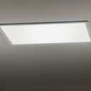 Frienda 4 Pcs Fluorescent Light Covers Replacement Flat Clear Prismatic Acrylic Ceiling Light Cover Panels(23.75" x 47.75" x 0.1")