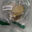 Glitter Dumpling, Glitter Dumpling Squishy with Box (Gold)