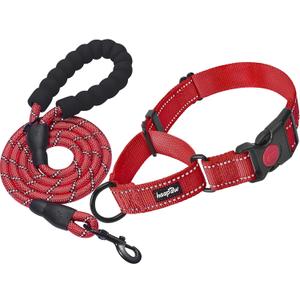 haapaw 2 Packs Martingale Dog Collar with Quick Release Buckle Reflective Dog Training Collars for Small Medium Large Dogs,Size: L-Martingale collar