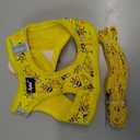 PUPTECK Dog Harness and Leash Set for Small Dogs No Pull Step-in Soft Mesh Puppy Cat Vest Harnesses Reflective at Night, Yellow Bee, S