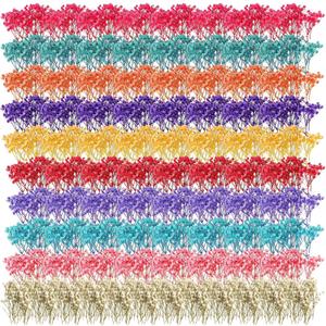 Fumete 200 Pcs Mini Dried Baby's Breath Flowers Gypsophila Ivory Mixed Color Dried Flowers for Vase Wedding Home Office Party Card Making Decoration Wreath Floral Craft DIY Art, 10 Colors