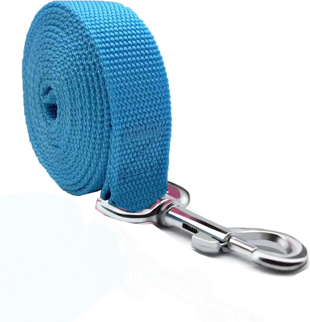 TAIAN 4FT/5FT/6FT Strong Dog Leash, Nylon Dog Leashes for Small Medium Large Dogs (Blue, 1 in x 15 ft)