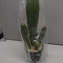 Artificial Cactus Fake Cacti 16" Faux Potted Cactus Plants for Home Store Office Decoration