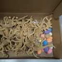 Sratte 52 Pcs Dinosaur Fossil Skeleton Kit for Kids with 24 Assorted Dino Bones & 24 Mini Dinosaur Eggs & 4 Bones, Dino Sand Dig Toys for Science Play Sandbox Birthday Easter Egg Stuffers(Light Brown)