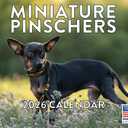 Miniature Pinscher Calendar 2026 Monthly Wall Calender 12 Month | American Made In The USA