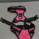 PoyPet No Pull Dog Harness, Reflective Comfortable Vest Harness with Front & Back 2 Leash Attachments and Easy Control Handle Adjustable Soft Padded Pet Vest for Small to Large Dogs (Pink,L)