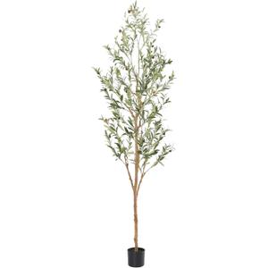 Faux Olive Tree with Natural Wood Trunk, 7ft, 1Pack
Olive Trees Artificial Indoor with Realistic Leaves and Fruits. 7 Feet(84in) Fake Olive Tree for Home House Office Décor.