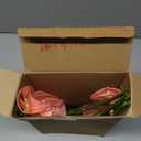 Hanaive 20 Pcs Artificial Anthurium Flowers 23.6 Inch Fake Anthurium Flowers for DIY Vase Bouquets Centerpiece Arrangements Wedding Bridal Shower Party Home Decor(Pink)