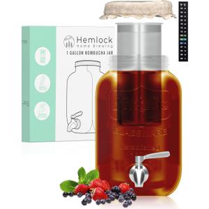 1 Gallon Kombucha Jar Starter Kit with Spigot, Continuous Kombucha Brewing Jar Kit, Glass Kombucha Starter Kit with Stainless Steel Mesh Filter (1GKJ)