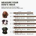 BronzeDog Rolled Leather Dog Collar with QR ID Tag, Adjustable Soft Round Collars for  Dogs Puppy (11" - 14 1/2" Neck Size, Brown)