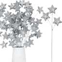 24 Pcs Glitter Star Picks 14.5 Inch Sparkly Star Stem Christmas Star Tree Picks Twinkle Star Sticks Foam Vase Decoration for Christmas Birthday Party Wedding Centerpieces(Silver)