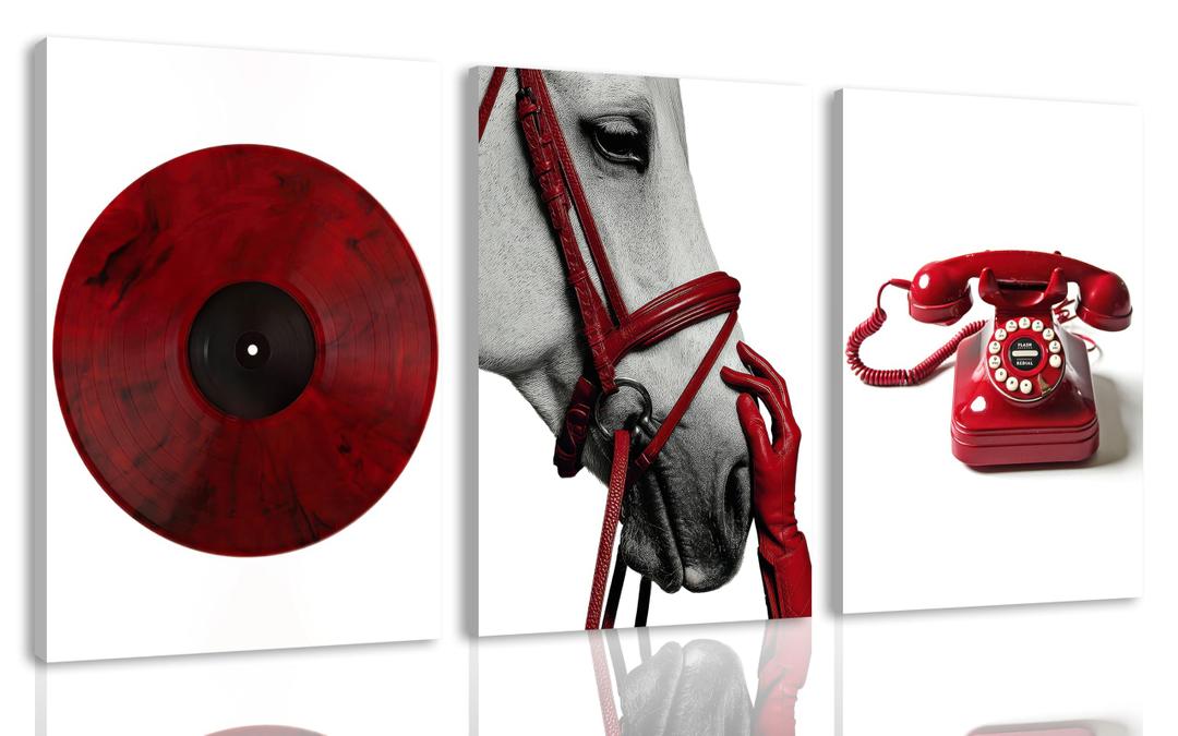 YVSRLX Set of 3 Red Canvas Wall Art, 16 x 24 Inch, Black White Y2K Decor
