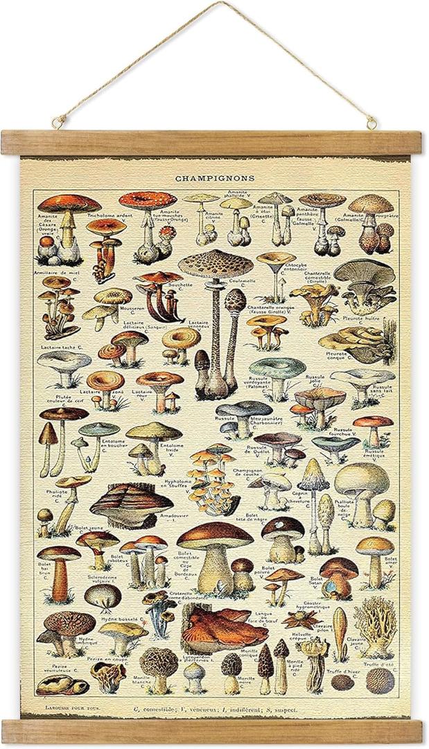 ABoby Vintage Hanging Posters, Decorative Mushroom Wall Art Prints, Printed on Linen with Wood Frames, Ready to Hang (23L" x 16W")