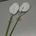 Ling's moment White Anthurium Flowers, 8pcs Artificial Silk Filler Plants, Faux Greenery Stems for DIY Wedding Bouquets Centerpieces Arrangements Bridal Shower Party Home Decorations